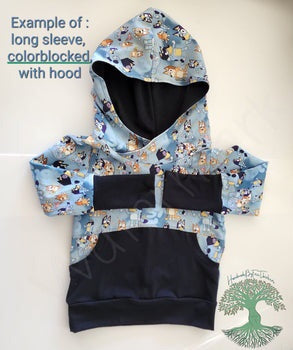 MTO-GWM Colorblocked Hoodie
